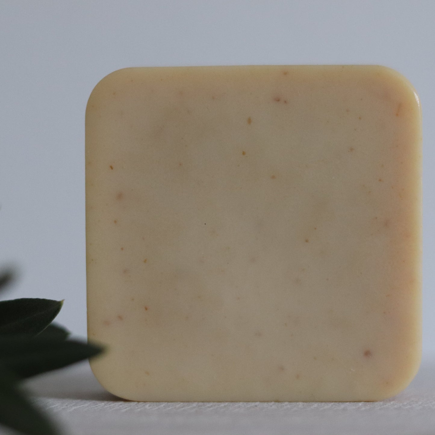 Botanical Revive Soap - Limited Edition