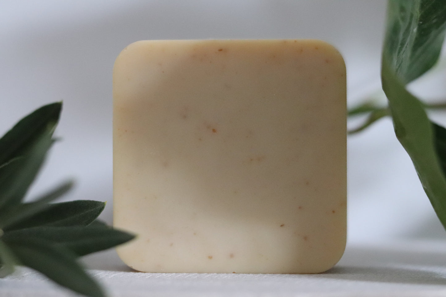 Duo - Oat & Earth Soap